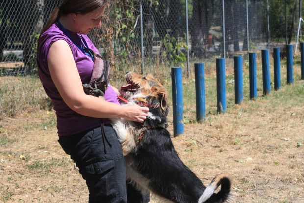 36707504_1031321280357620_8423900442055933952_n