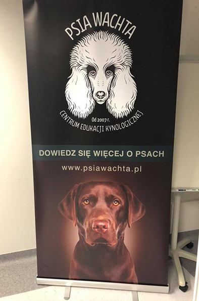 44512384_761494004190278_8259042322876989440_n