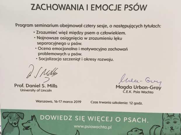 53628876_2224428500955896_2713089561952518144_n