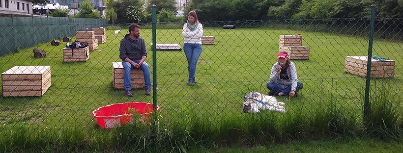 Warsztaty z Michele Minunno, Psia Wachta, Poznań 2019