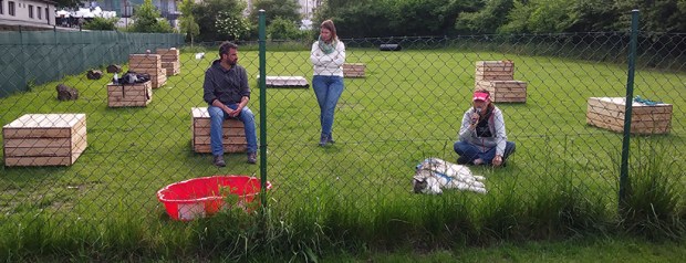 Warsztaty z Michele Minunno, Psia Wachta, Poznań 2019