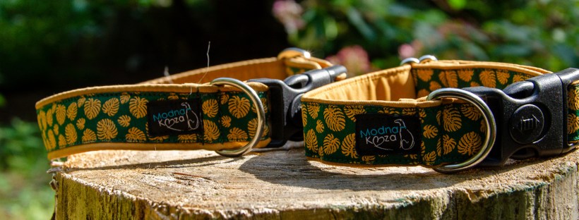 Modna Koza obroża Top For Dog